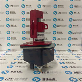 Lock safe隔離開(kāi)關(guān)LS13009-01  愛(ài)澤工業(yè) izeindustries (1).JPG