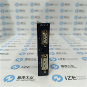 sew模塊DEH21B 愛澤工業(yè) izeindustries (2).jpg