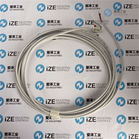 KONECRANES開關(guān)V4NLSK2A2-1.5M-UL(KODE1SB0) 愛澤工業(yè) 膩子額 (3).jpg