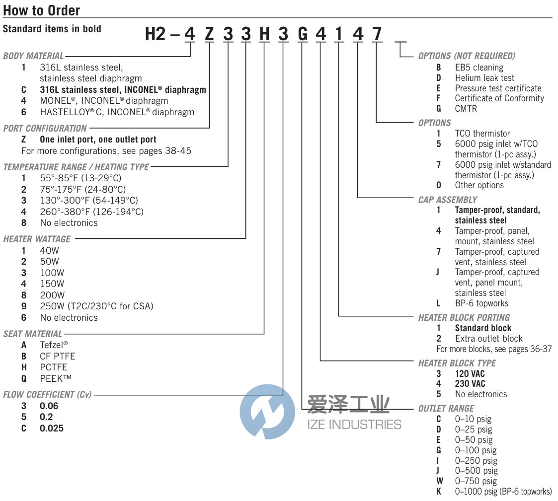 GO REGULATOR調(diào)節(jié)器H2-1L33Q3E4111 愛(ài)澤工業(yè) ize-industries (2).png