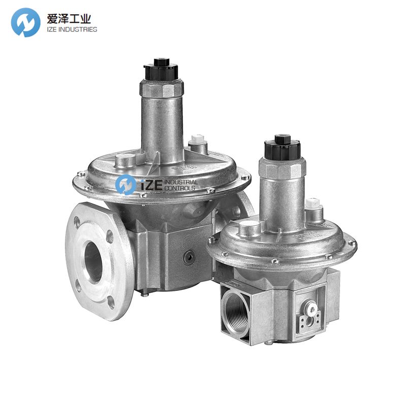 dungs FRS izeindustrialcontrols 愛(ài)澤工業(yè).jpg