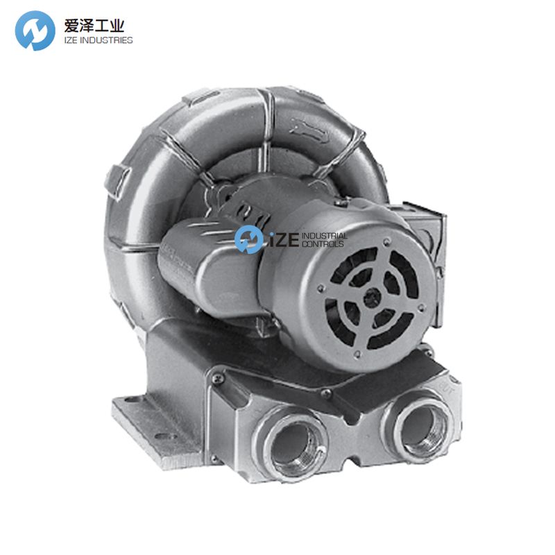 GAST風機R2系列 示例X-RITE R2103 4490-193 izeindustries 愛澤工業(yè).jpg