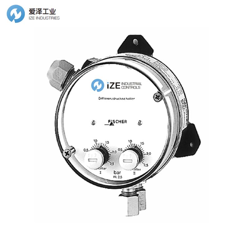 FISCHER壓差開關(guān)DS13系列 示例DS1399VAO1C9D026 izeindustries 愛(ài)澤工業(yè).jpg