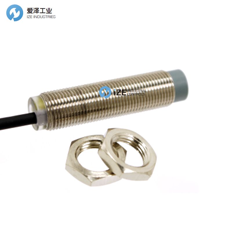 RECHNER傳感器IAS-10-A22-S-M12-PBTMS-Z03-0 izeindustrialcontrols 愛澤工業(yè).jpg