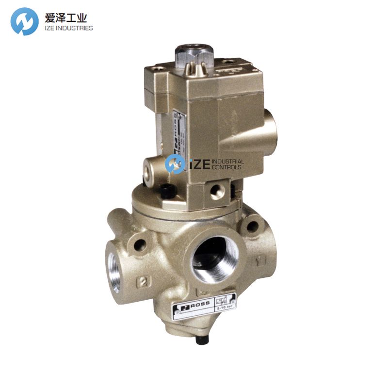 ROSS提升閥21系列D2173B5001W愛(ài)澤工業(yè)izeindustries.jpg