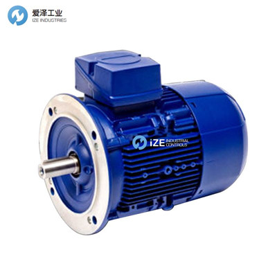 ROBERT BIRKENBEUL電機(jī)8APE90L-4-IE3 愛澤工業(yè)izeindustries.jpg