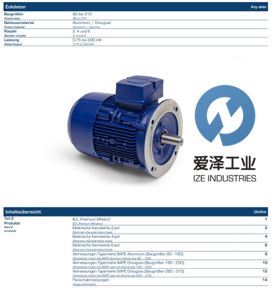 BIRKENBEUL電機(jī)8APE90L-4-IE3 愛澤工業(yè) izeindustries.jpg