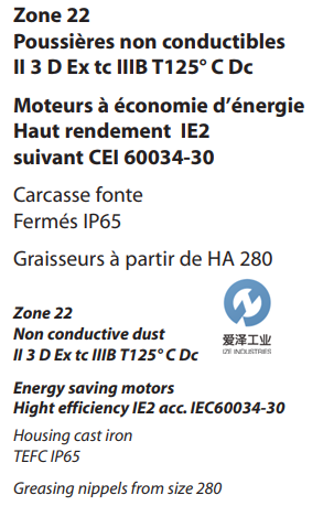 VEM電機IE2-W21F系列 愛澤工業(yè)izeindustries.png
