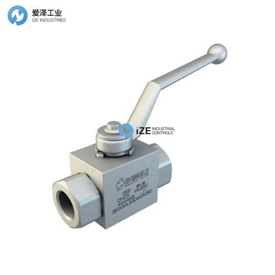 GEMELS開(kāi)關(guān)閥GE2系列 示例GE2GGT35011A000 愛(ài)澤工業(yè)izeindustries.jpg