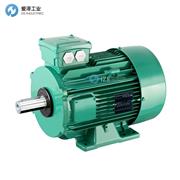 LEROYSOMER電機(jī)LSES系列 LSES132M