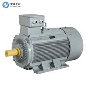 AC-MOTOREN電機(jī)FCA90L-2/HE