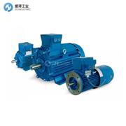 CEMP電機(jī)AB35r63B4 B5/140-95-115