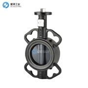 SCHNEIDER蝶閥VFZ210W-125