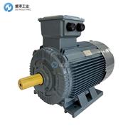 VIMEC電機90L6