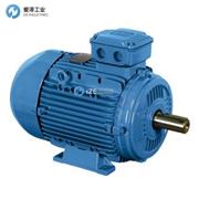WEG電機W21 55KW IE2 2P 280S/M 400V 50HZ